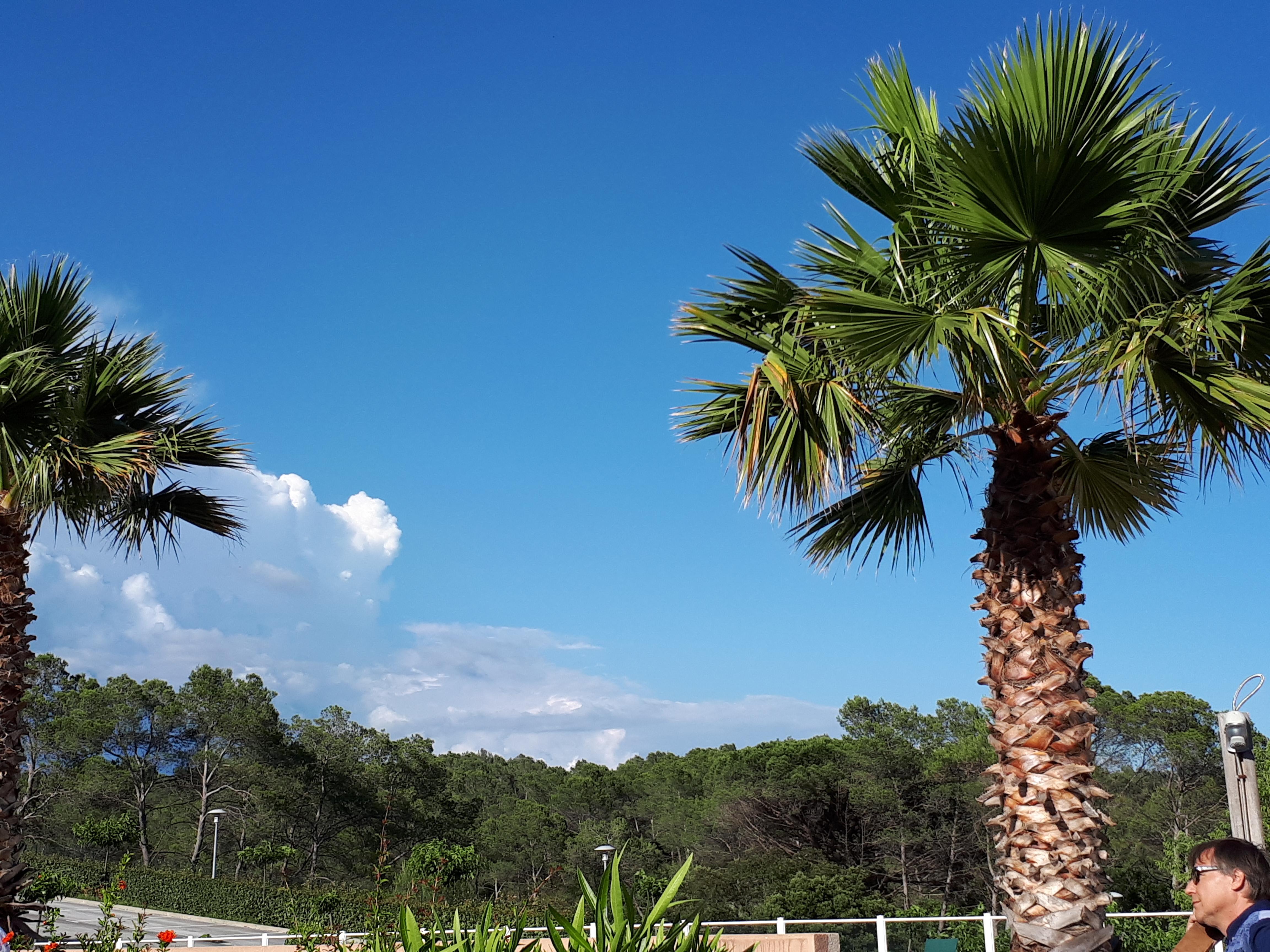 Les Parasols D'Argens Roquebrune-sur-Argens Eksteriør billede