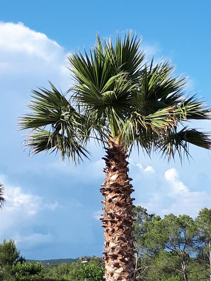 Les Parasols D'Argens Roquebrune-sur-Argens Eksteriør billede